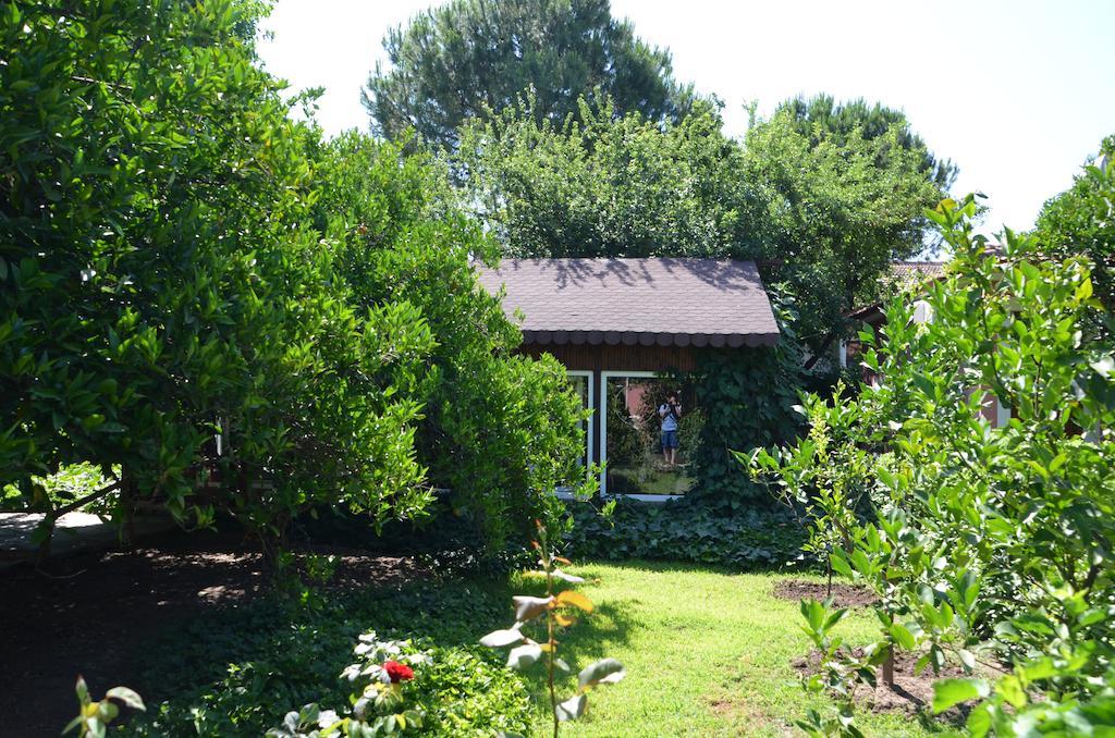 Lindos Pension Dalyan Εξωτερικό φωτογραφία